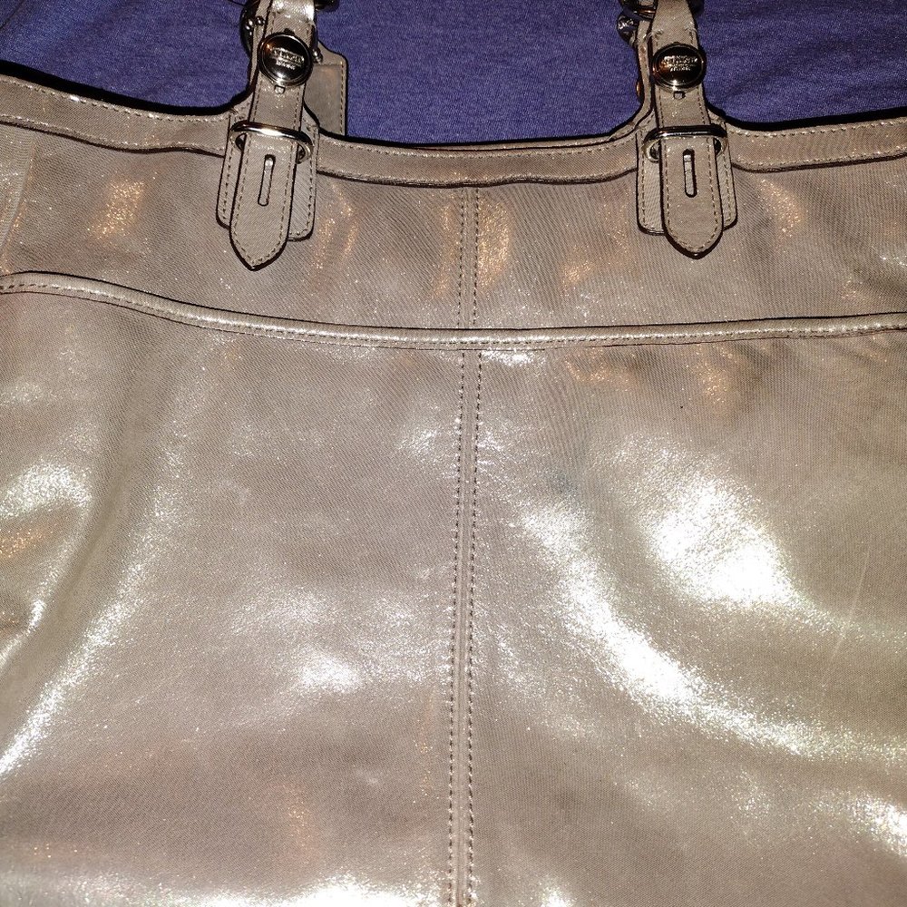 Authentic Gold Coach purse